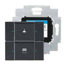 2CKA006116A0182 Busch-Jaeger Bedienelement 2-fach m. BAU 6126/01-885 Produktbild front M