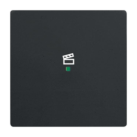 2CKA006220A0501 Busch-Jaeger Wippe 1- fach, Szene 6233-10-885 Produktbild front M