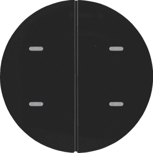 80162865 Berker KNX R.x Tastsensor 2fach Komfort, schwarz glänzend Produktbild Front View L