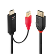 41424 Lindy 0.5m HDMI an DisplayPort Adapterkabel Produktbild