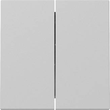 3295015 Gira Wippe 2f System 55 Grau m Produktbild