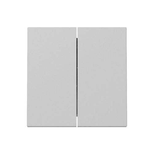 3295015 Gira Wippe 2f System 55 Grau m Produktbild
