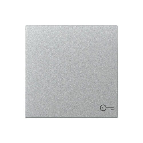 328726 Gira Wippe Symb. Tür System 55 F Alu Produktbild