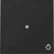 3674005 Gira Wippe Kontrollf. + Symb. Licht System 55 Schwarz m Produktbild