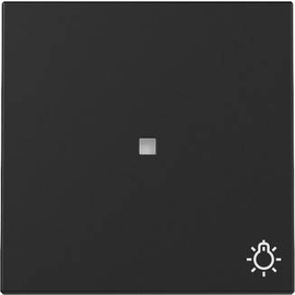 3674005 Gira Wippe Kontrollf. + Symb. Licht System 55 Schwarz m Produktbild