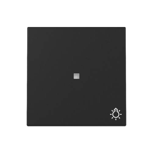 3674005 Gira Wippe Kontrollf. + Symb. Licht System 55 Schwarz m Produktbild