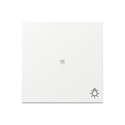 367403 Gira Kontroll Wippe & Symbol Licht System 55 Reinweiß glänzend Produktbild