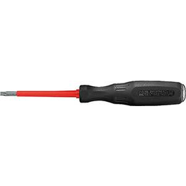 101533 Intercable Torx-Schraubendreher T10x60 F II Produktbild