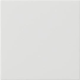 537203 Gira Wippe 1f unbedruckt System 55 Reinweiß Produktbild front M