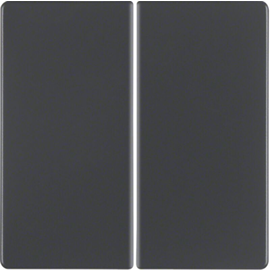 85142125 Berker Taste 2fach Q.1/Q.3 schwarz matt Produktbild front M