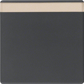 16266085 Berker Wippe mit Beschriftungsfeld Q.1/Q.3 schwarz matt Produktbild