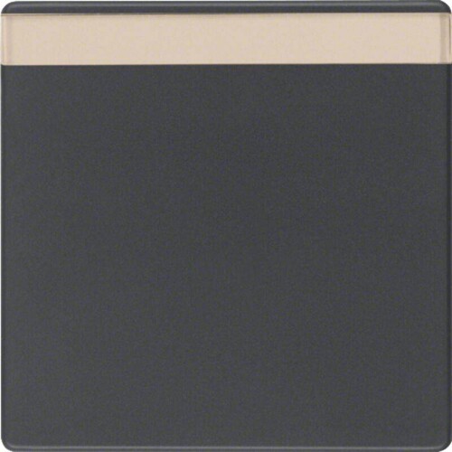 16266085 Berker Wippe mit Beschriftungsfeld Q.1/Q.3 schwarz matt Produktbild