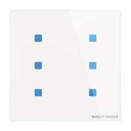 2CKA006300A1605 Busch-Jaeger BE 6-f inkl. BAU 86x86mm TB/U6.5.11-CG Produktbild front M