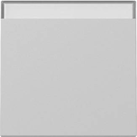 3299015 Gira Wippe BSF System 55 Grau m Produktbild