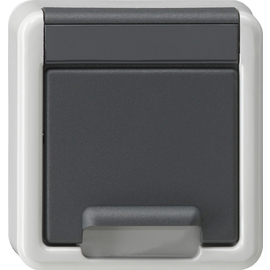 494230 Gira Abd. SCHUKO-Steckd. KD + SH WG AP Grau Produktbild front M