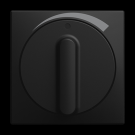 1740 DR/03-915 Busch-Jaeger ZentSch Drehgr LS Produktbild front M