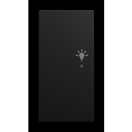 6231-21-915 Busch-Jaeger Wippe/L 2-fach, Licht Produktbild front M