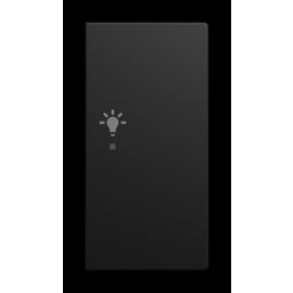 6231-22-915 Busch-Jaeger Wippe/R 2-fach, Licht Produktbild front M