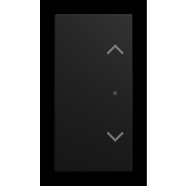 6232-20-915 Busch-Jaeger Wippe 2-fach, Jalousie Produktbild front M