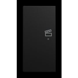 6233-21-915 Busch-Jaeger Wippe/L 2-fach, Szene Produktbild front M