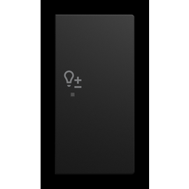 6234-22-915 Busch-Jaeger Wippe/R 2-fach, Dimmer Produktbild front M