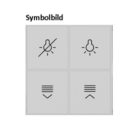 81181224 Berker KNX Q.x Tasten f. TS-GM 1-fach alu matt hinterleuchtet Produktbild front M