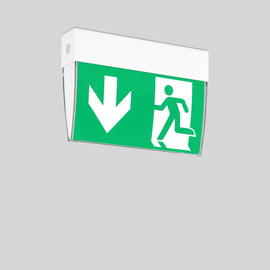 672839.002.F1 RZB Notleuchte Wand- Deckenleuchte GSUN 5 LED/2,2 Produktbild front M