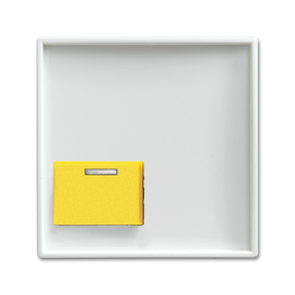 2CKA001724A4357 Busch-Jaeger Zentralscheibe 1-fach mit gelber Abstel Produktbild front M