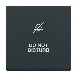 2CKA001751A3207 Busch-Jaeger Wippe mit Aufdruck DND anthrazit-Plattform 63 Produktbild