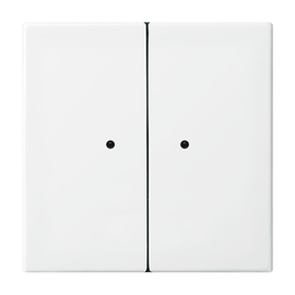 2CKA006730A0093 Busch-Jaeger WaveLINE Wandsender 2-fach 2 Kan. Funk alpinweiß Produktbild front M