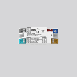 985487 RZB Überwachungssystem, Zentralbatterie, Zentralbatterieanlage  Produktbild