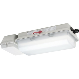 85600 0008 Schuch Kompakte ex-geschützte LED-Notleuchte für Zone 1/21 mit satini Produktbild front M