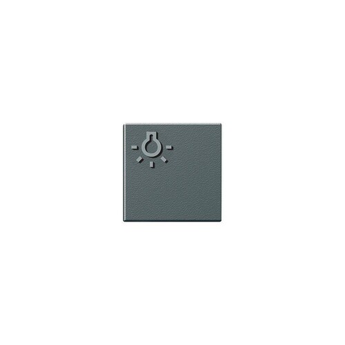 200029980-00 Siedle TLM 61x-01, BTLM 650-... DG Lichttaste mit Lichtsymbol Produktbild Front View L