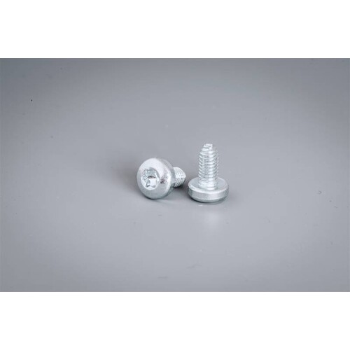 92093614 Eldon CNTS05 Extrudierte Schrauben M5, Torx (250Stk.) Torx-Schra Produktbild Front View L