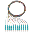 228040502 Rutenbeck Pigtails, 12xSC, OM3, 2m Produktbild