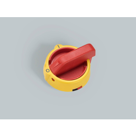 92095763 Wöhner 33670 Drehgriff f. Türantrieb,überlistb.Türsp,rg für SD1-3 Produktbild front M