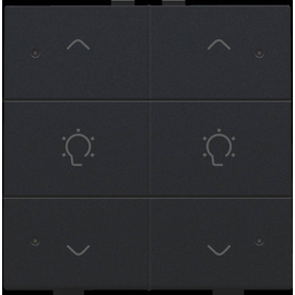 161-52046 Niko Doppel Dimmersteuerung mit LED für Niko Home Control, black co Produktbild front M