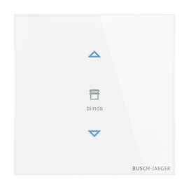 2CKA006300A1642 Busch-Jaeger Control element 2g. Produktbild front M