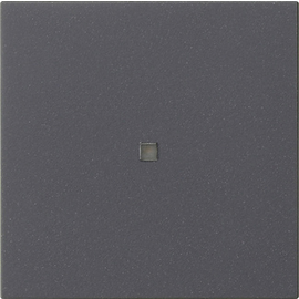549528 Gira Gira eNet Funk Bedienaufs. System 55 Anthrazit Produktbild front M