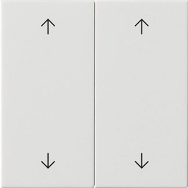 538703 Gira Wippe 2f Pfeile System 55 Reinweiß Produktbild front M