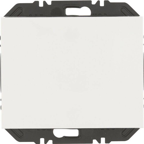 24117109 Berker ENOCEAN MOD 1F Produktbild Front View L