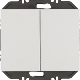 24127033 Berker Friends of Hue Tasten 2fach,K.5,alu lack Produktbild front M