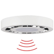 93632 B.E.G. BEG 93632 AL93-20-300-LED- 3C-HF Rundleuchte Produktbild