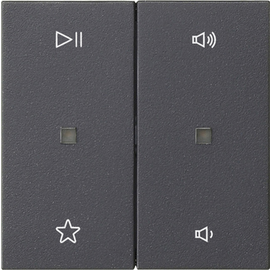 538428 Gira Wippe 2f Audiostrg System 55 Anthrazit Produktbild front M