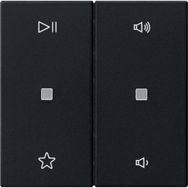 5384005 Gira Wippe 2f Audiostrg System 55 Schwarz m Produktbild front M