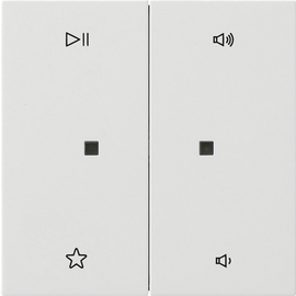 5384112 Gira Wippe 2f Audiostrg Flächenschalter Reinweiß Produktbild front M