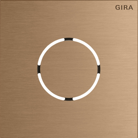 5578921 Gira Frontpl. Sprachmodul System 106 Bronze Produktbild