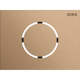 5579921 Gira Frontpl. Türstationsmodul System 106 Bronze Produktbild front M