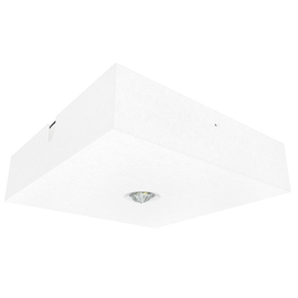 BQD319M Fischer Akku LED-Sicherheitsl. Decke Produktbild front M