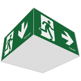 W6DE83I2 Fischer Akku FISCHER W6DE83I2 RZL LPS RZL 6W AP DAB IP40 Würfel I2 Produktbild front M